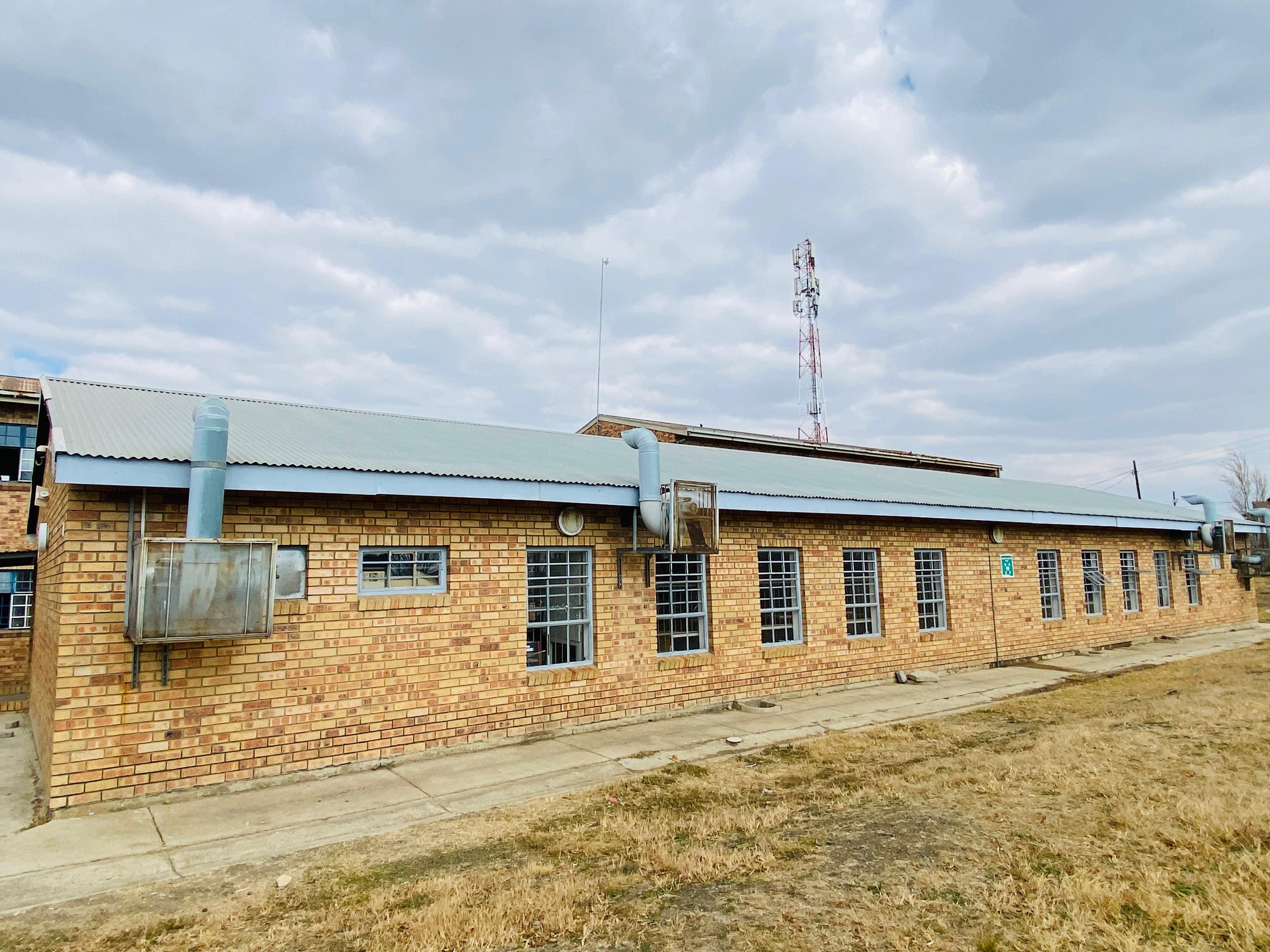 School Gallery